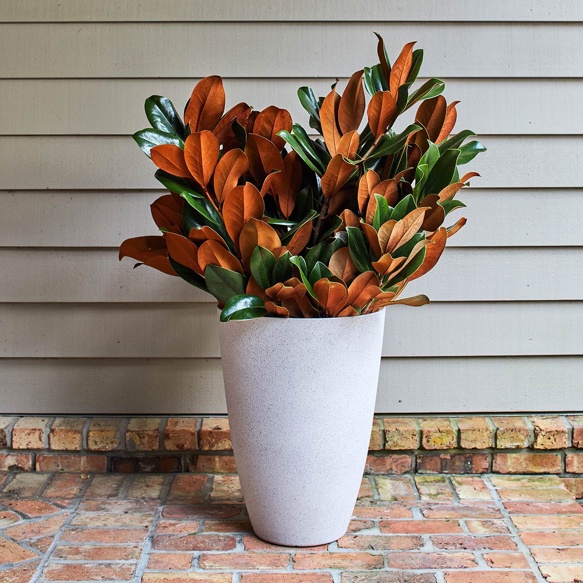 Magnolia Vase Cut Branches