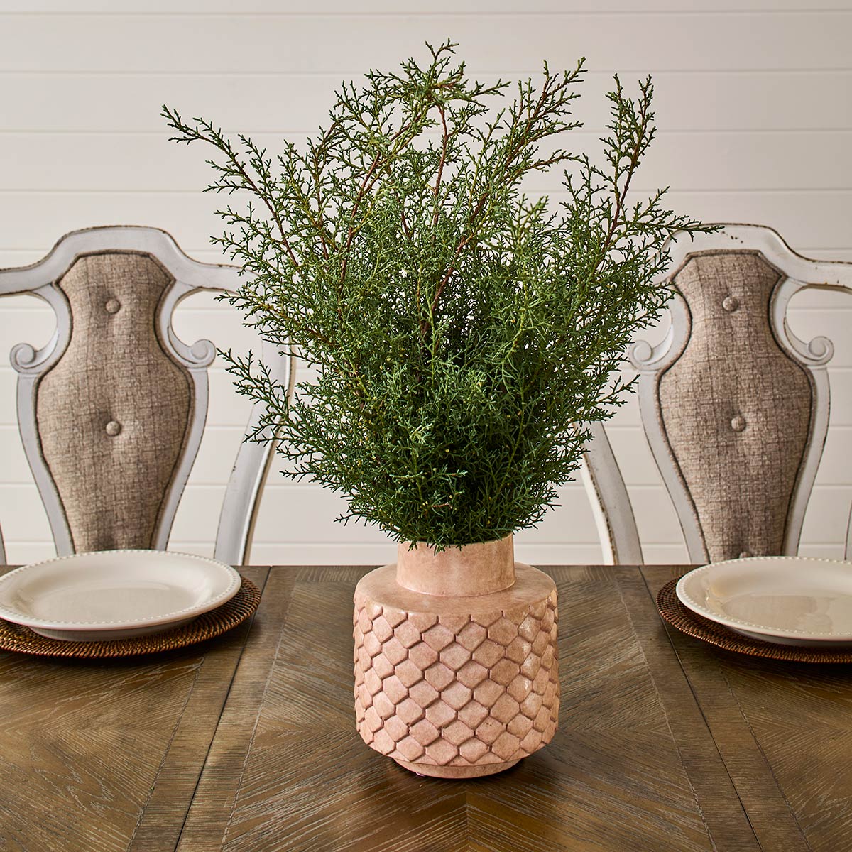 Carolina Sapphire Bunches 24-32" (75 Stems)