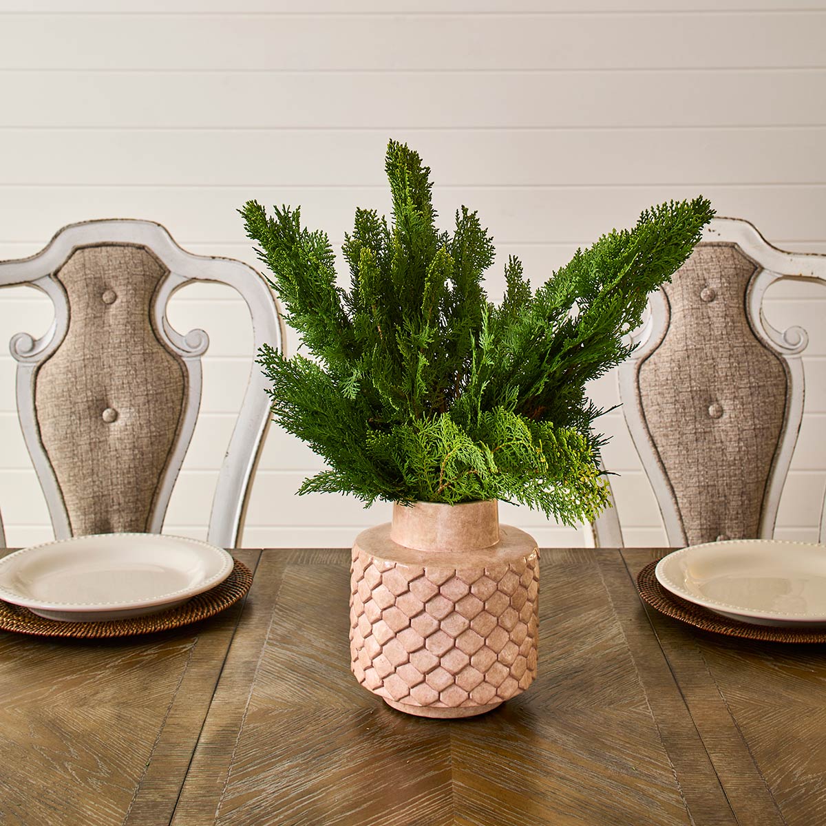 Golden Cedar Bunches 12-18" (75 Stems)