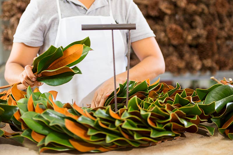 Making Fresh Magnolia Wreath